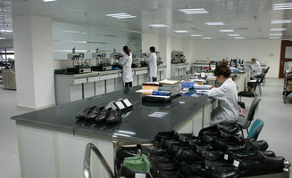 東莞豐信Sedex輔導與房產咨詢 權威專業，助力企業合規與資產增值